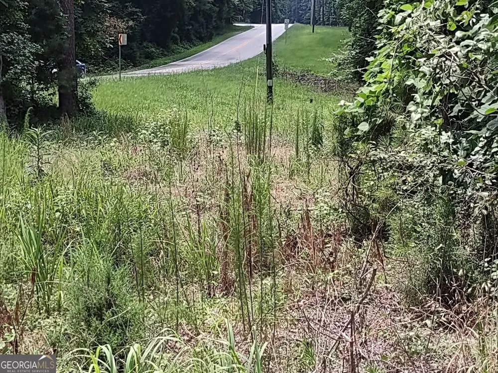 0 Panhandle RD Hampton, GA 30228
