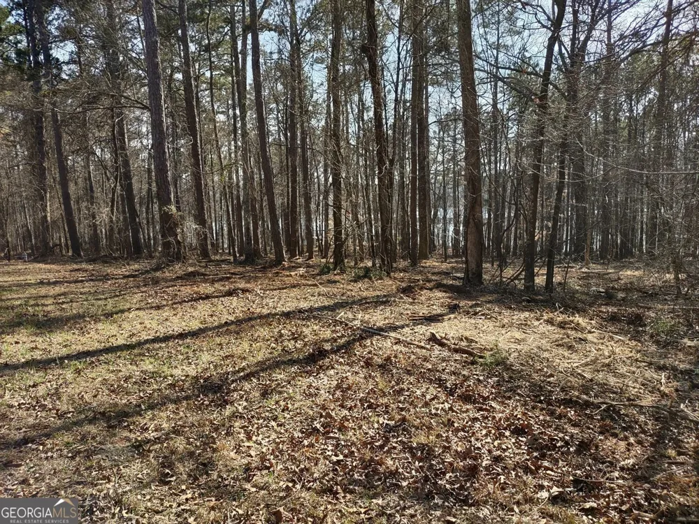 0 Panhandle RD Hampton, GA 30228