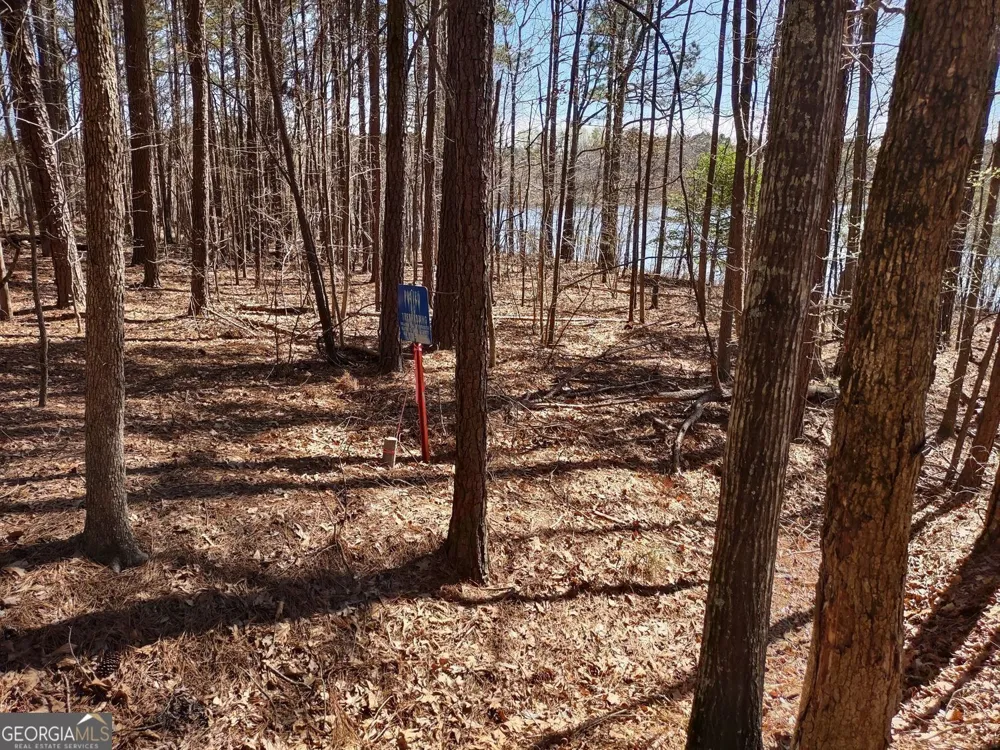 0 Panhandle RD Hampton, GA 30228
