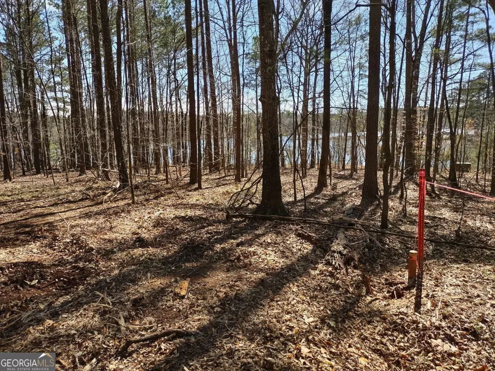 0 Panhandle RD Hampton, GA 30228