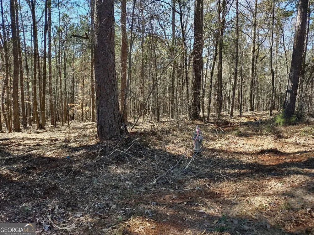 0 Panhandle RD Hampton, GA 30228