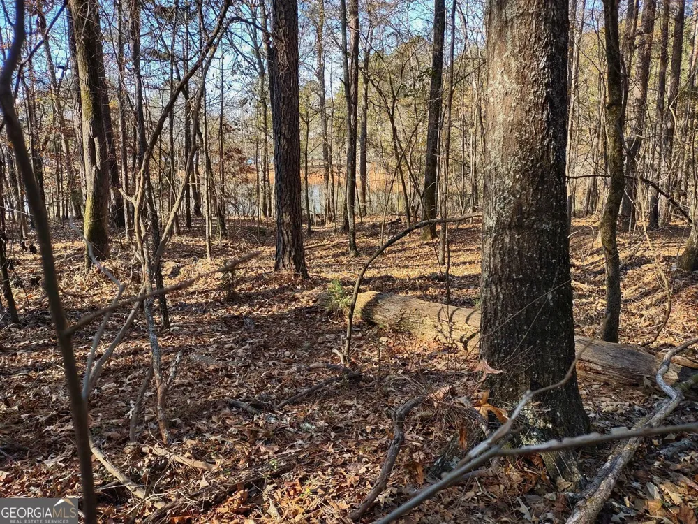 0 Panhandle RD Hampton, GA 30228