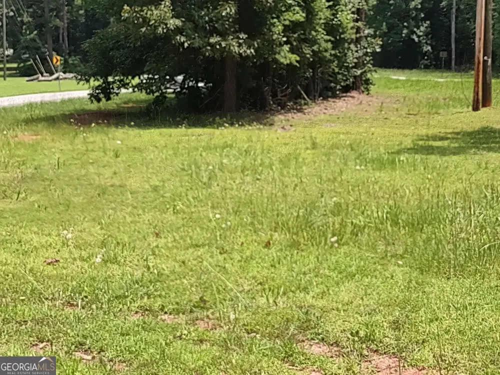 0 Panhandle RD Hampton, GA 30228