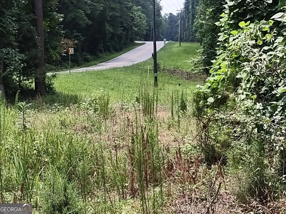 0 Panhandle RD Hampton, GA 30228