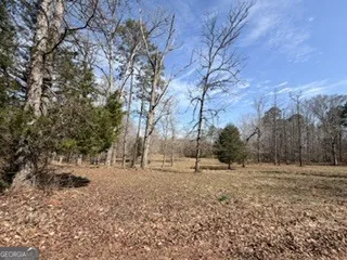486 Walthall RD Jackson, GA 30233