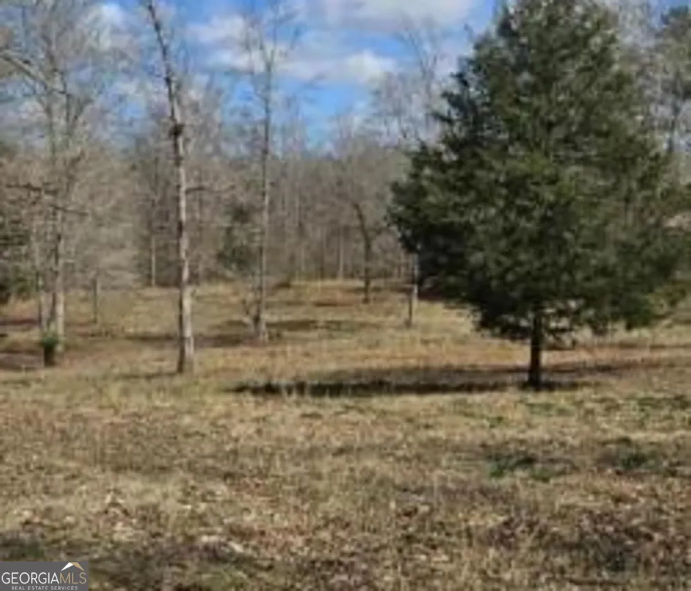 486 Walthall RD Jackson, GA 30233