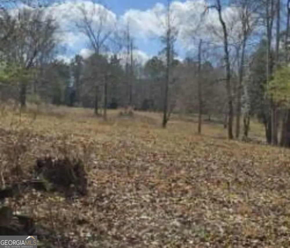 486 Walthall RD Jackson, GA 30233