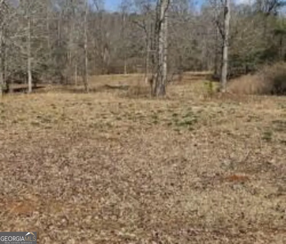 486 Walthall RD Jackson, GA 30233