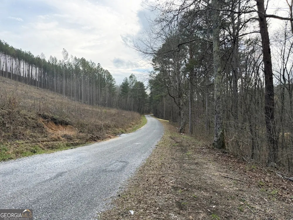 49.85AC Johnson Cemetery Gaylesville, AL 35973