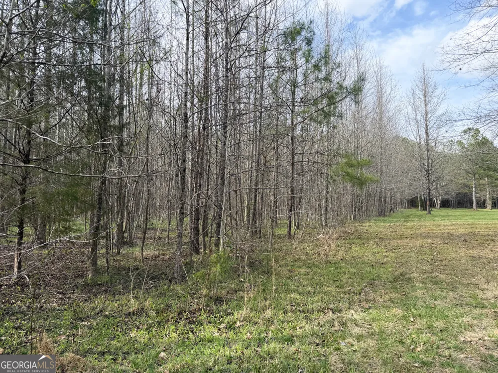 49.85AC Johnson Cemetery Gaylesville, AL 35973