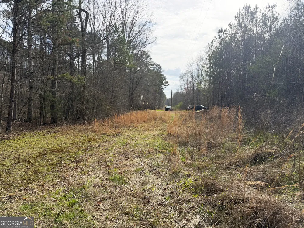 49.85AC Johnson Cemetery Gaylesville, AL 35973