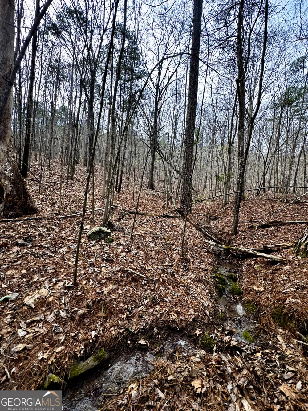 49.85AC Johnson Cemetery Gaylesville, AL 35973