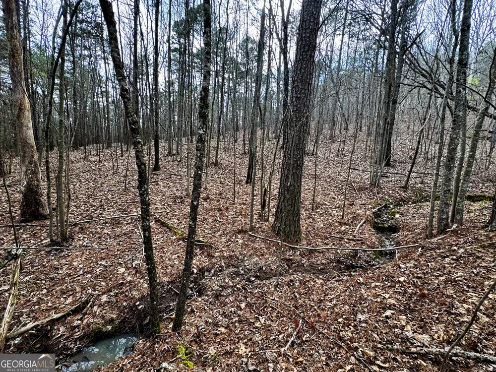49.85AC Johnson Cemetery Gaylesville, AL 35973