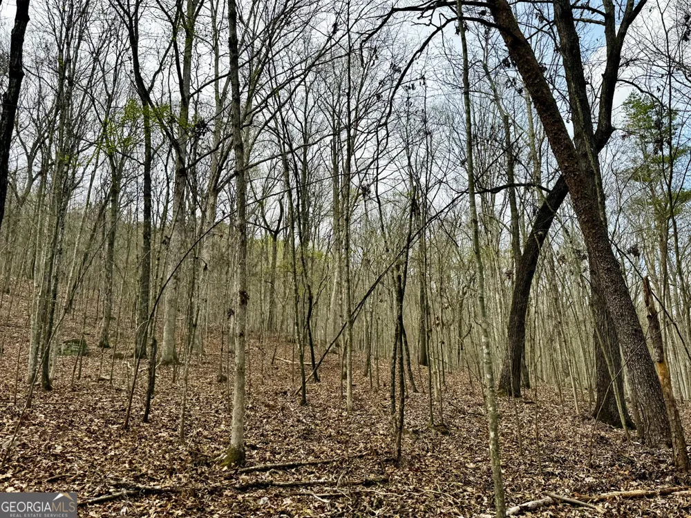 49.85AC Johnson Cemetery Gaylesville, AL 35973
