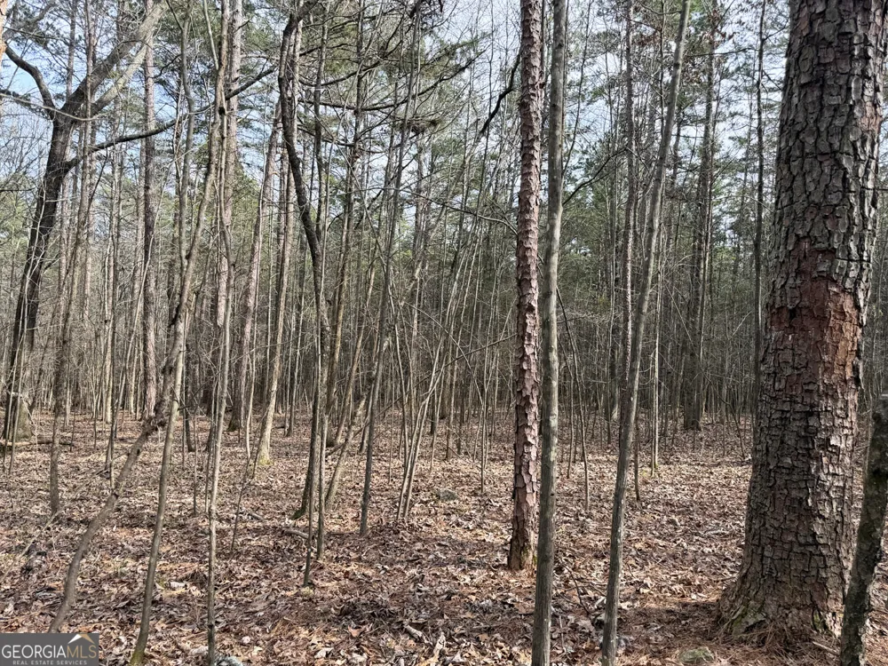 49.85AC Johnson Cemetery Gaylesville, AL 35973
