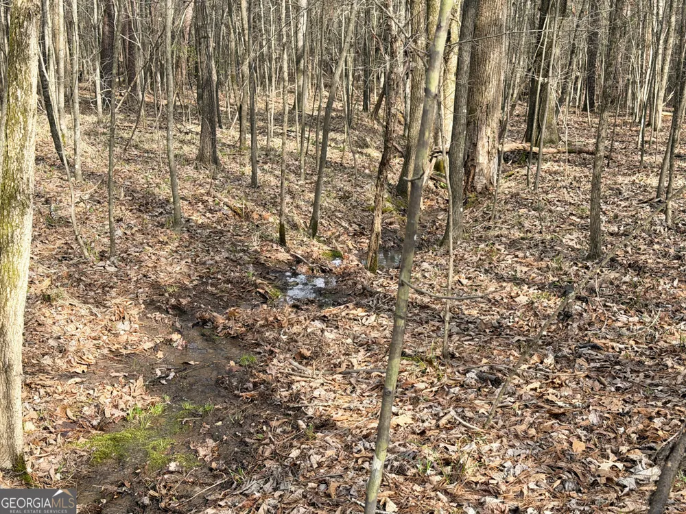 49.85AC Johnson Cemetery Gaylesville, AL 35973