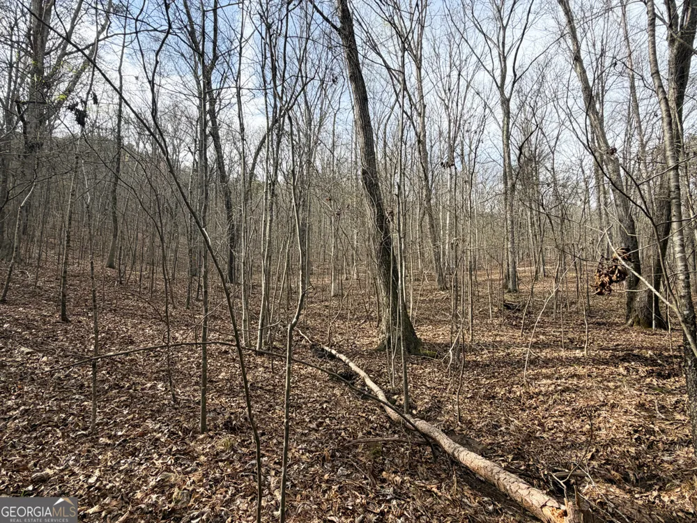 49.85AC Johnson Cemetery Gaylesville, AL 35973