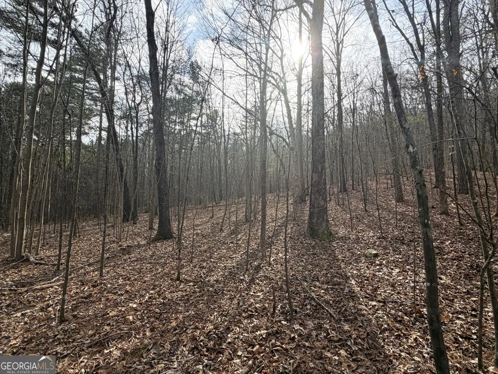 49.85AC Johnson Cemetery Gaylesville, AL 35973