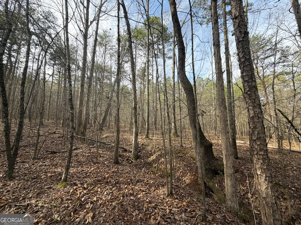 49.85AC Johnson Cemetery Gaylesville, AL 35973