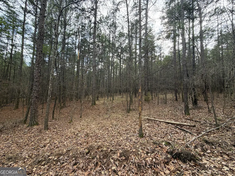 49.85AC Johnson Cemetery Gaylesville, AL 35973