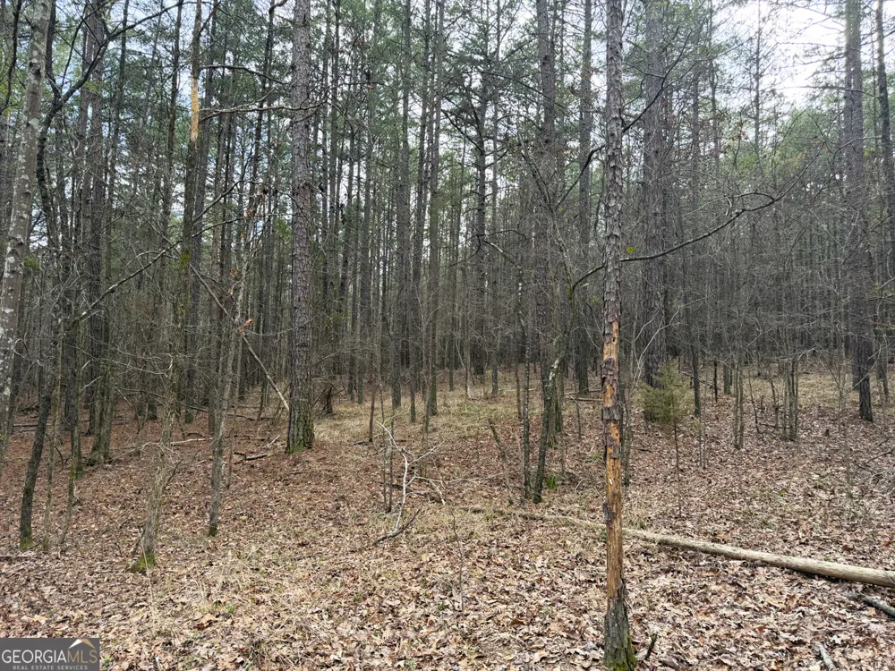 49.85AC Johnson Cemetery Gaylesville, AL 35973