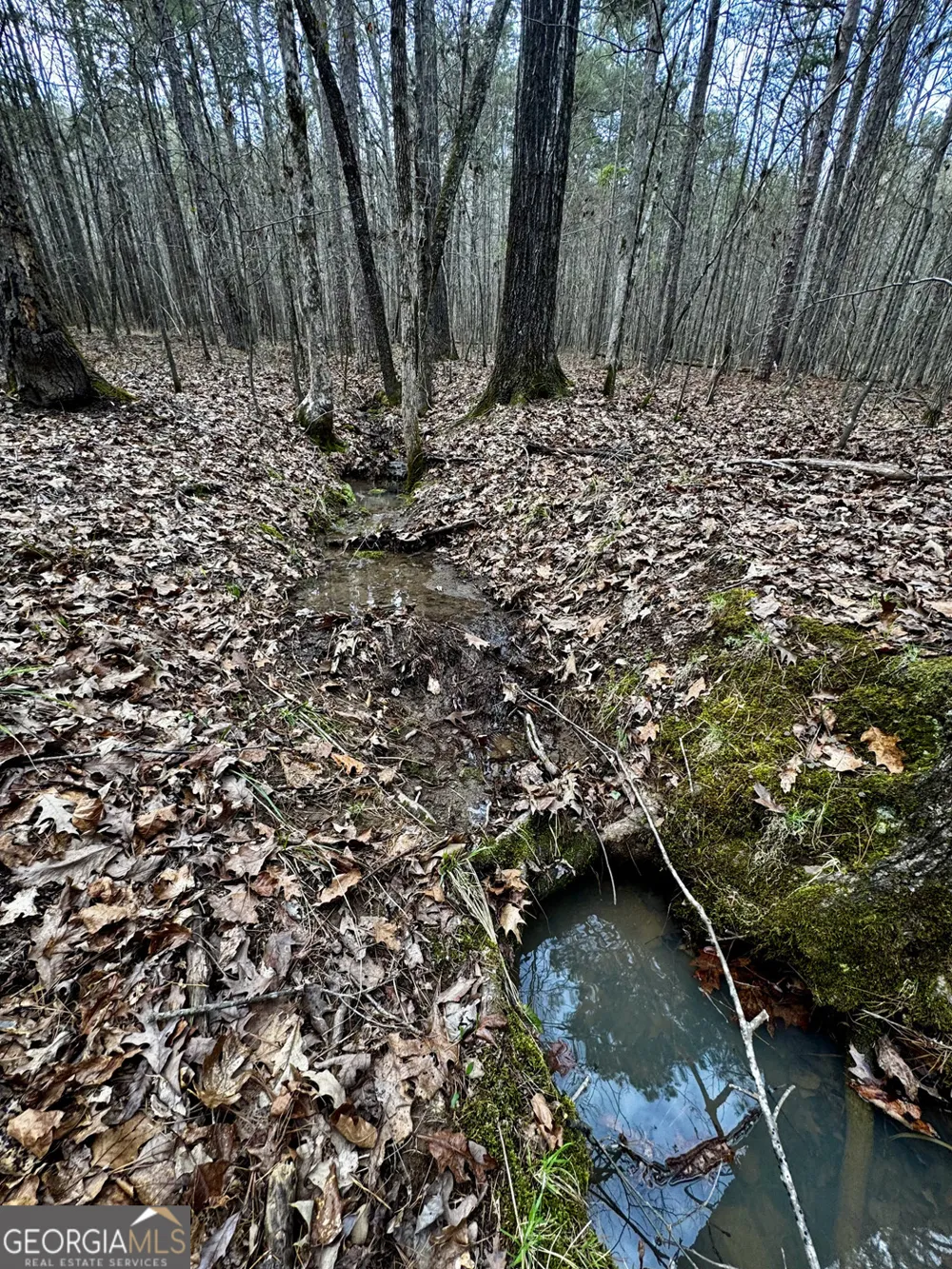 49.85AC Johnson Cemetery Gaylesville, AL 35973