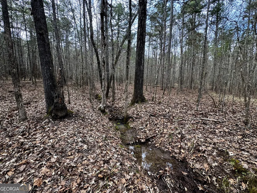 49.85AC Johnson Cemetery Gaylesville, AL 35973