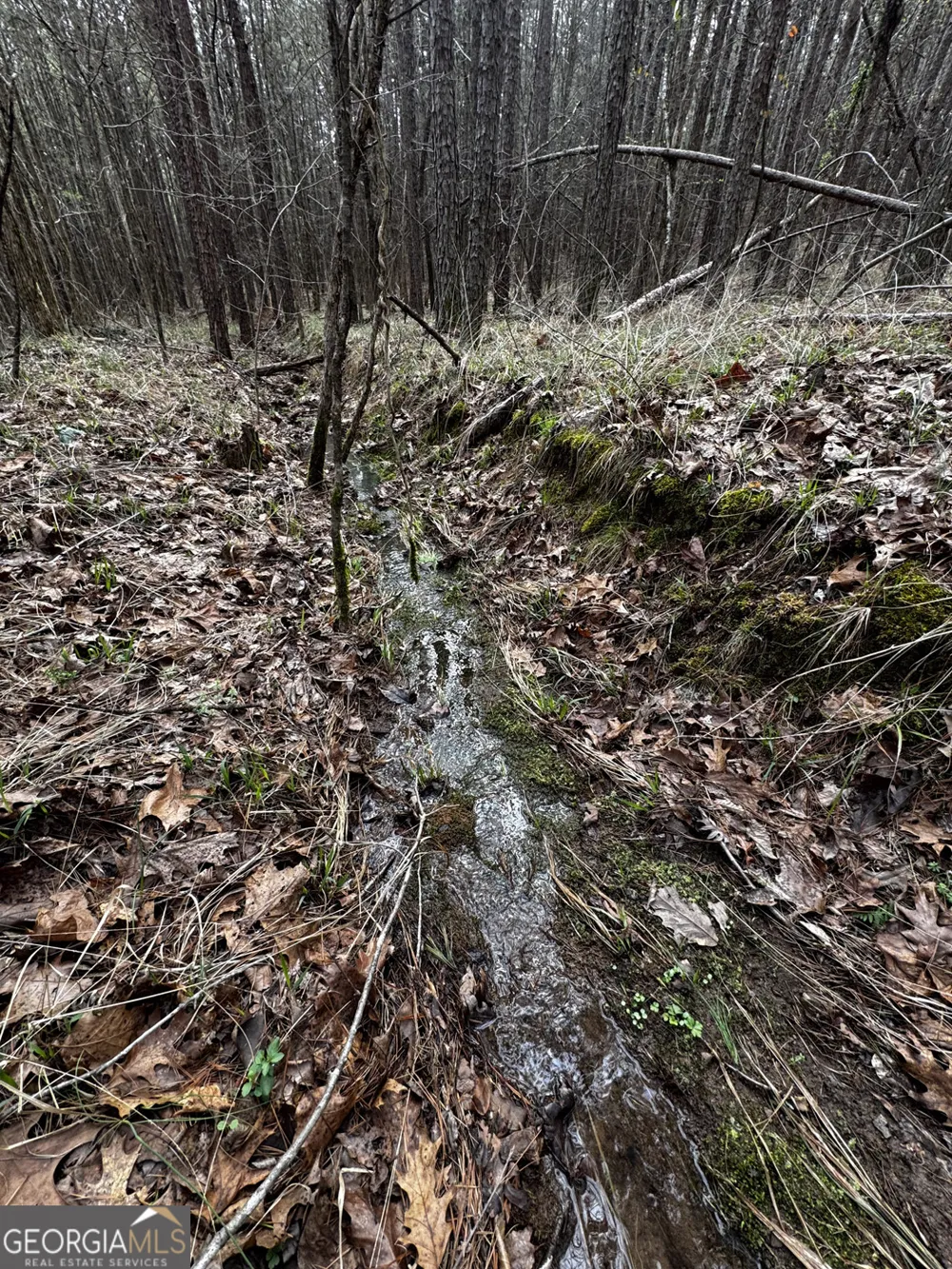 49.85AC Johnson Cemetery Gaylesville, AL 35973