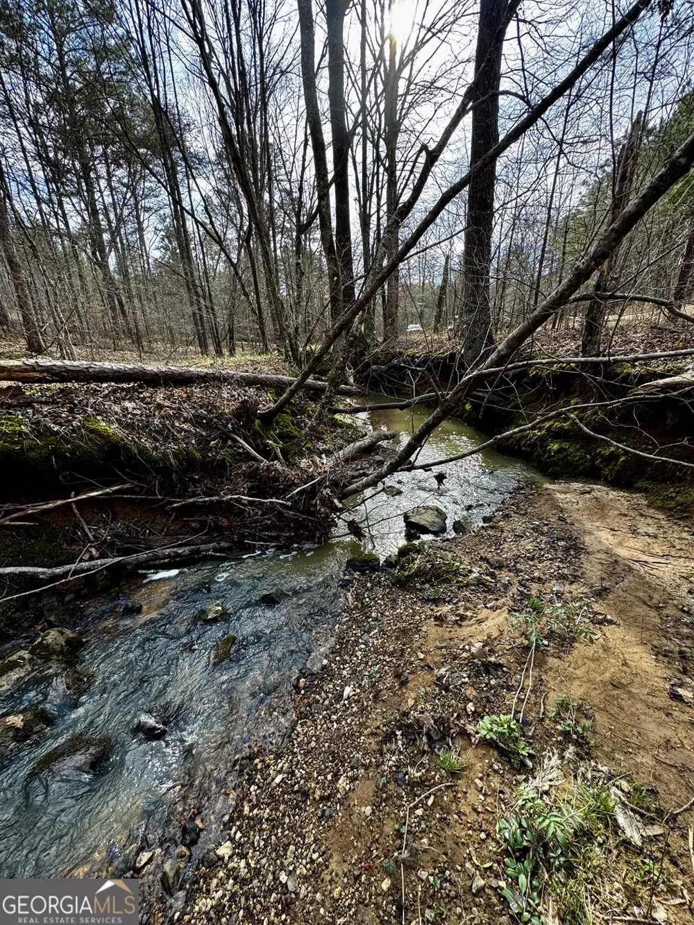 49.85AC Johnson Cemetery Gaylesville, AL 35973