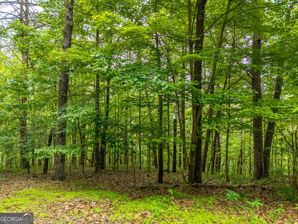 1332 Birch LN NE Ranger, GA 30734