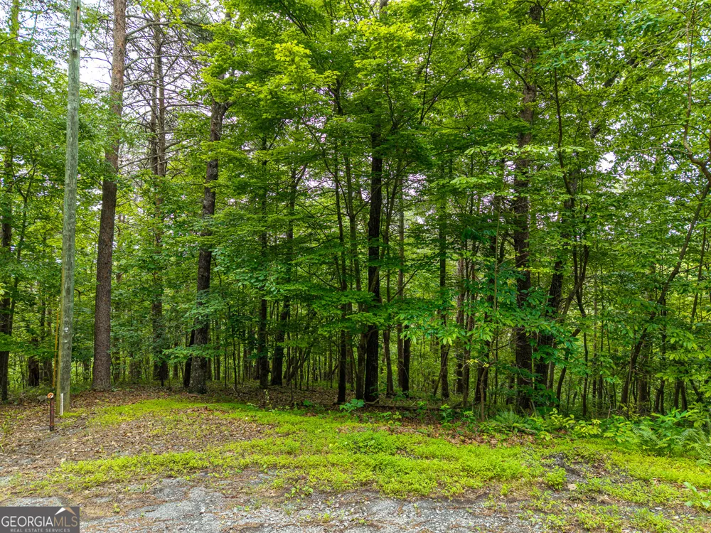 1332 Birch LN NE Ranger, GA 30734