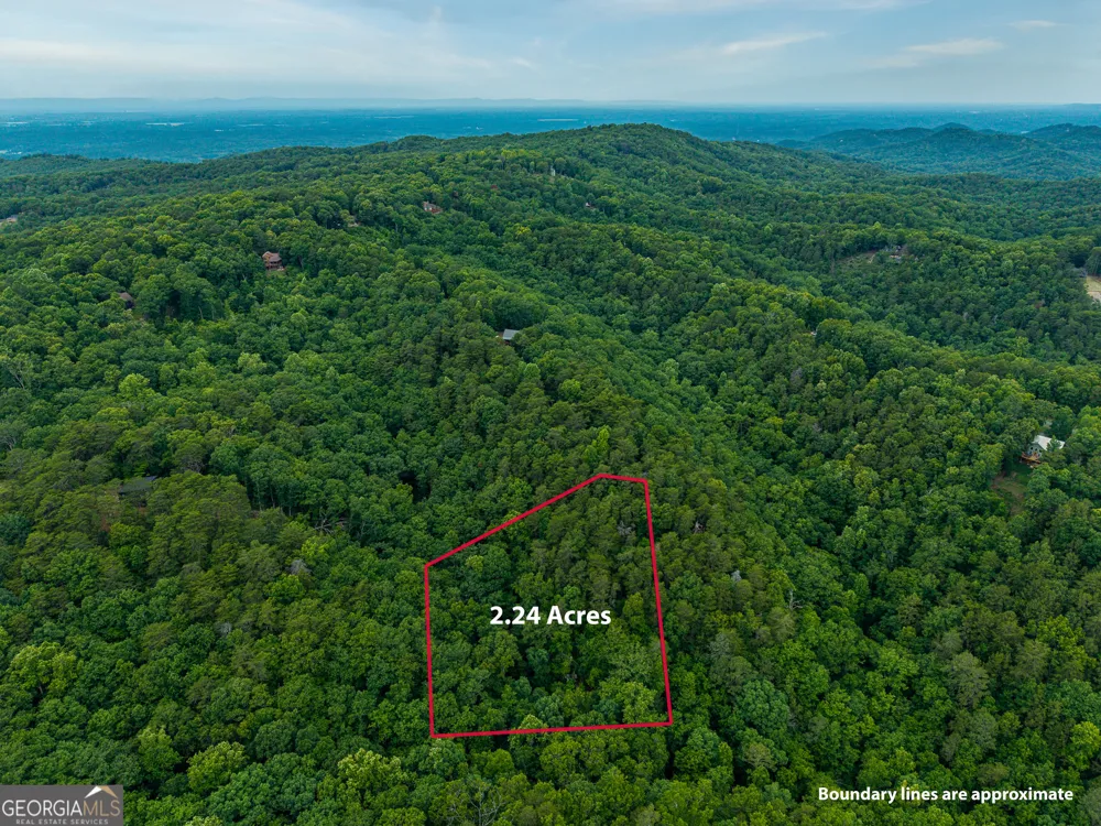 1332 Birch LN NE Ranger, GA 30734