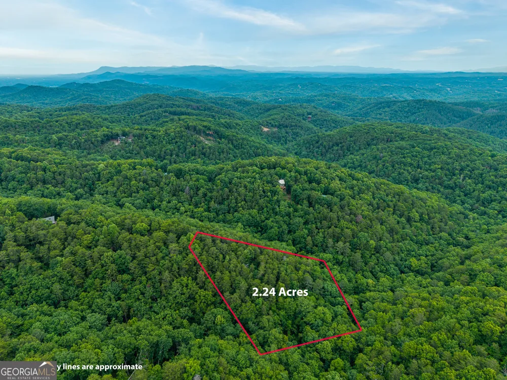 1332 Birch LN NE Ranger, GA 30734