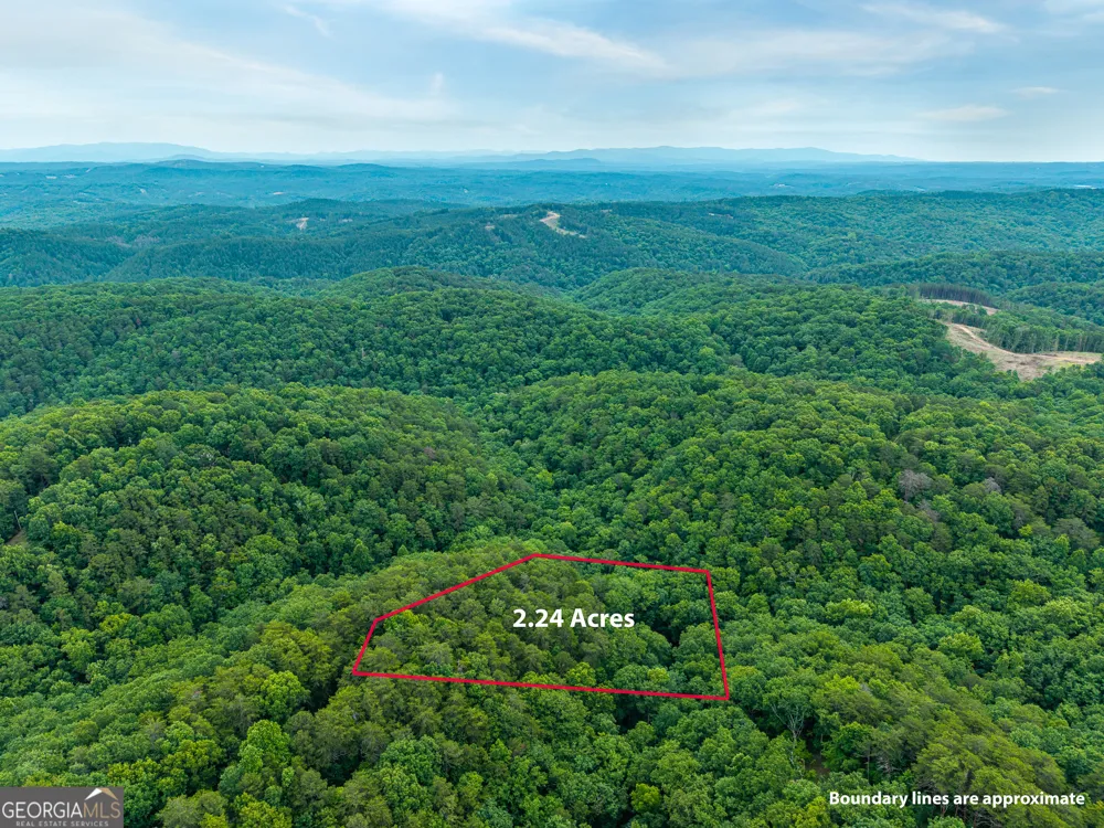 1332 Birch LN NE Ranger, GA 30734