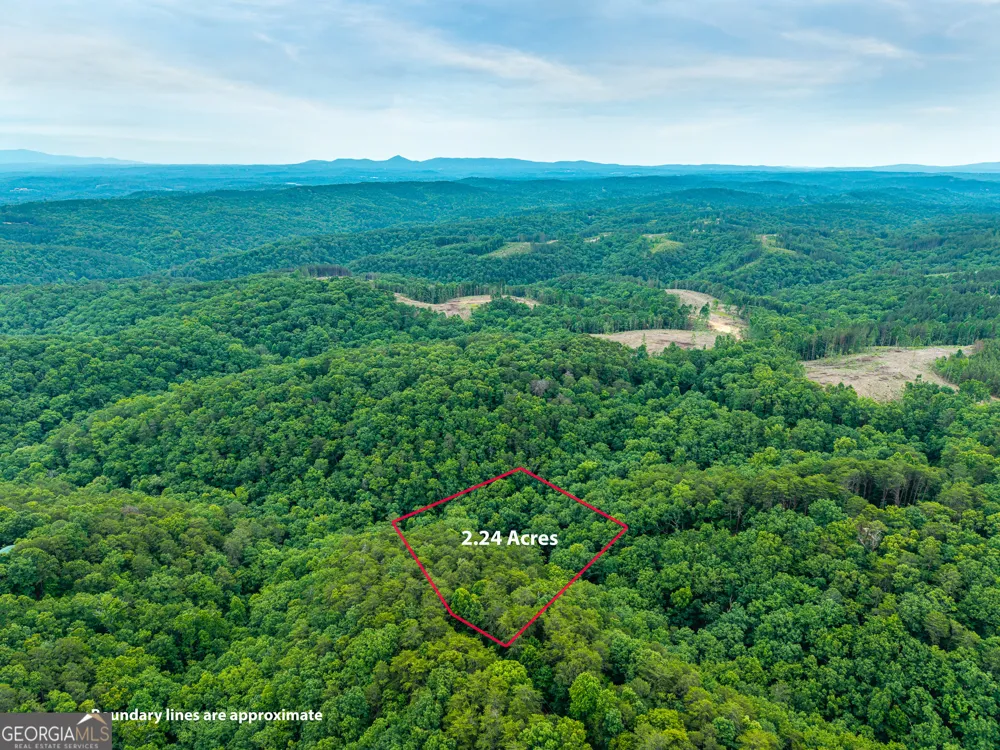 1332 Birch LN NE Ranger, GA 30734