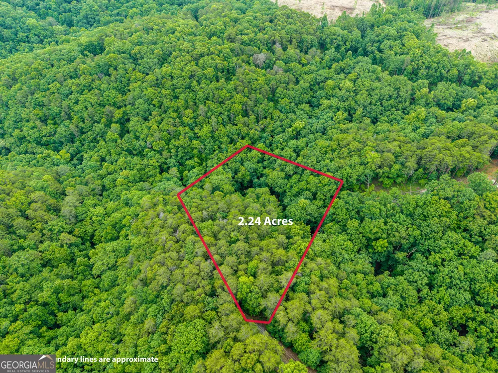 1332 Birch LN NE Ranger, GA 30734