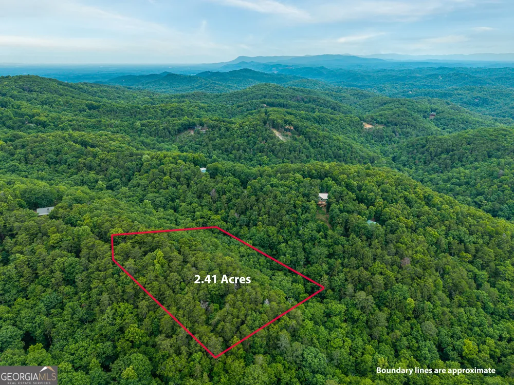 1331 Birch LN NE Ranger, GA 30734