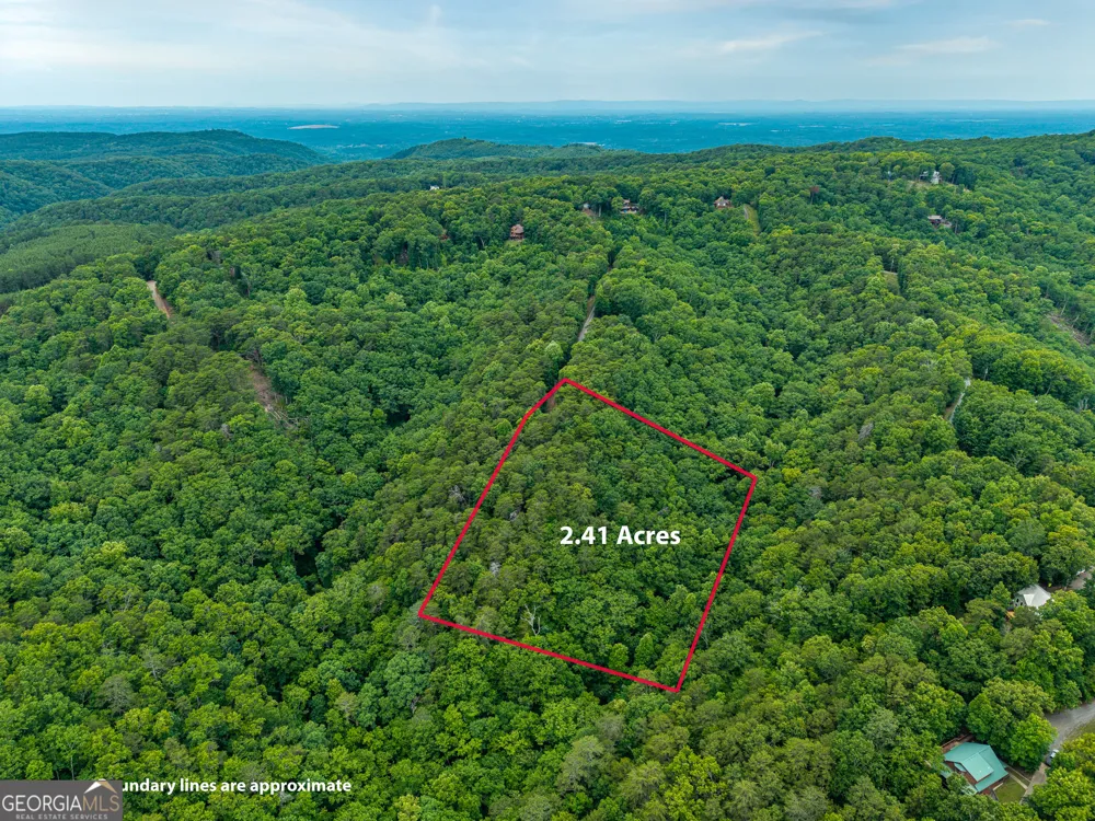 1331 Birch LN NE Ranger, GA 30734