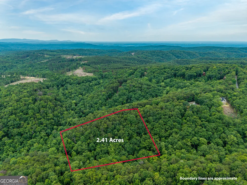 1331 Birch LN NE Ranger, GA 30734