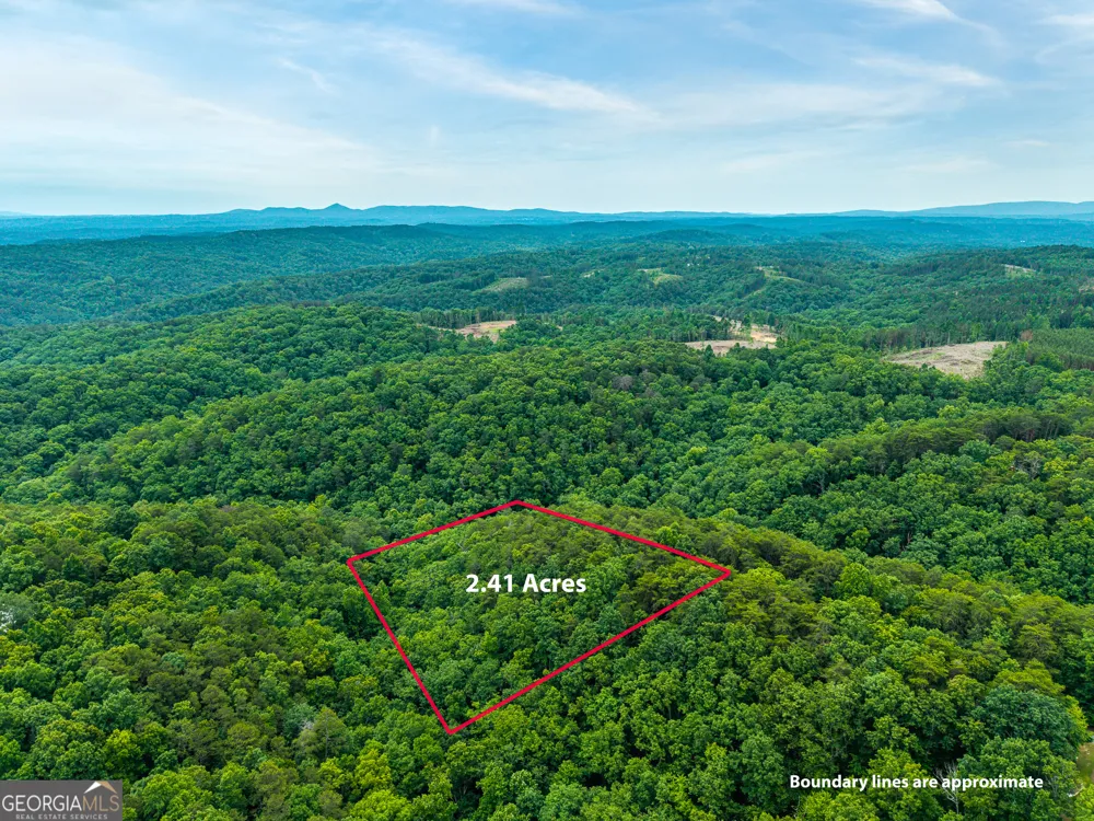 1331 Birch LN NE Ranger, GA 30734