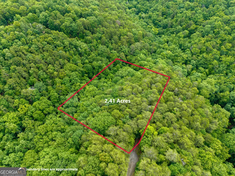 1331 Birch LN NE Ranger, GA 30734