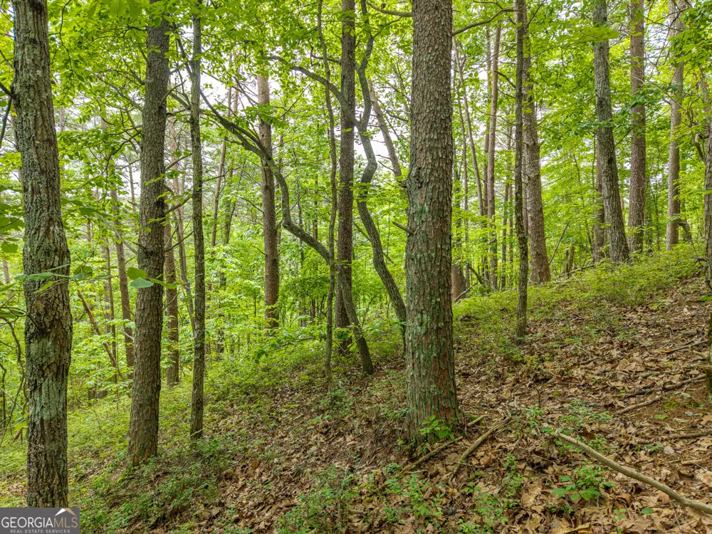 1331 Birch LN NE Ranger, GA 30734