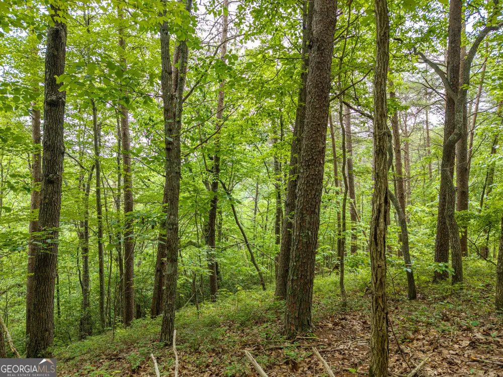1331 Birch LN NE Ranger, GA 30734