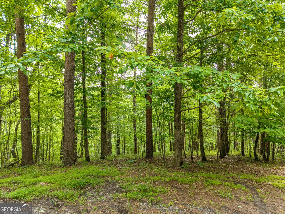 1331 Birch LN NE Ranger, GA 30734