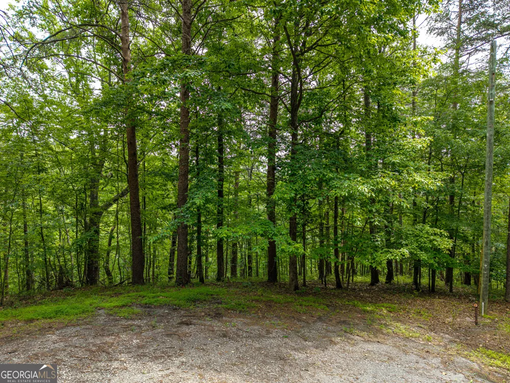 1331 Birch LN NE Ranger, GA 30734