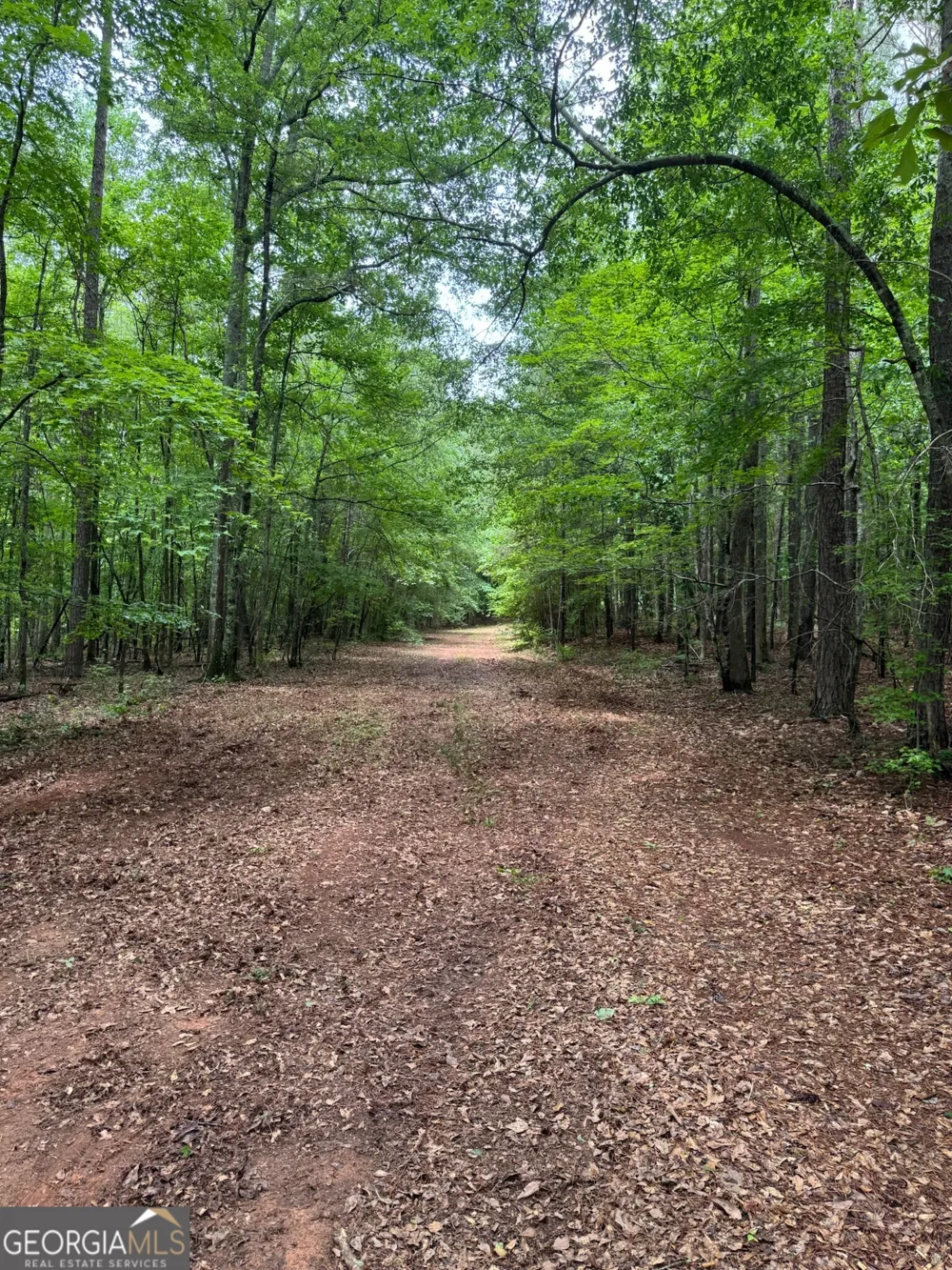 646 Lakeside RD Williamson, GA 30292
