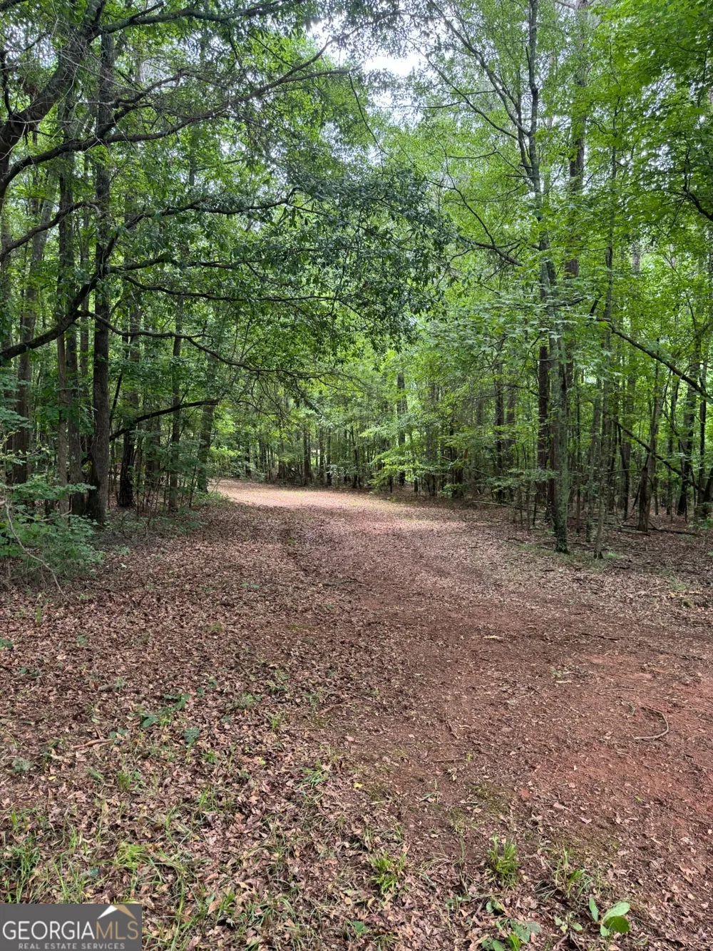 646 Lakeside RD Williamson, GA 30292