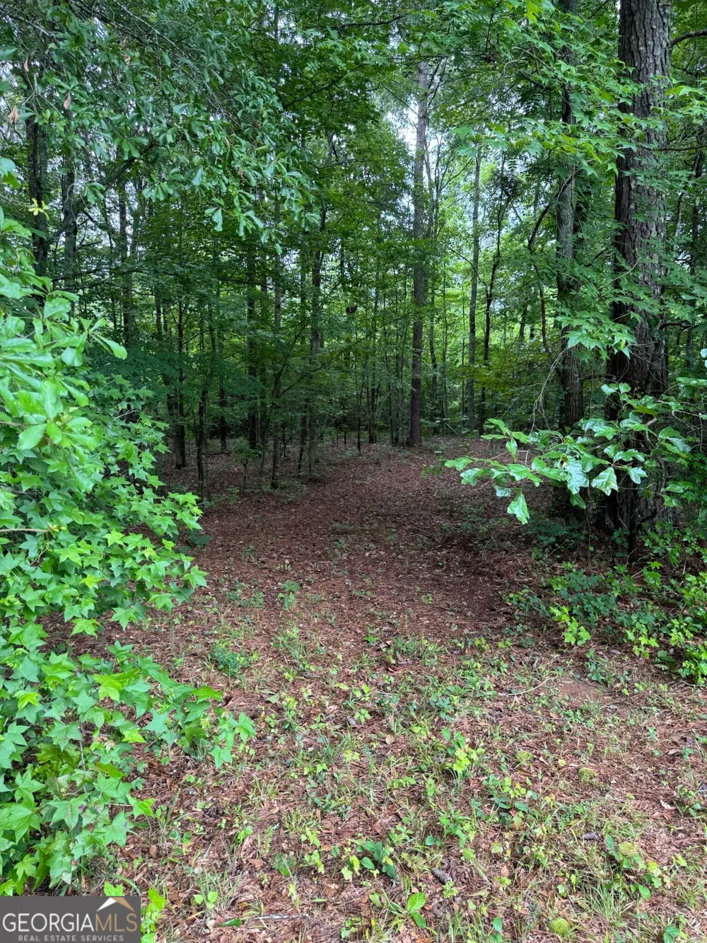 646 Lakeside RD Williamson, GA 30292