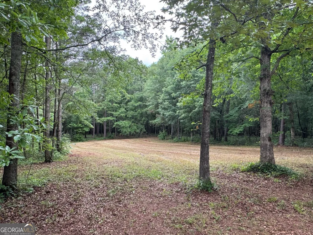 646 Lakeside RD Williamson, GA 30292