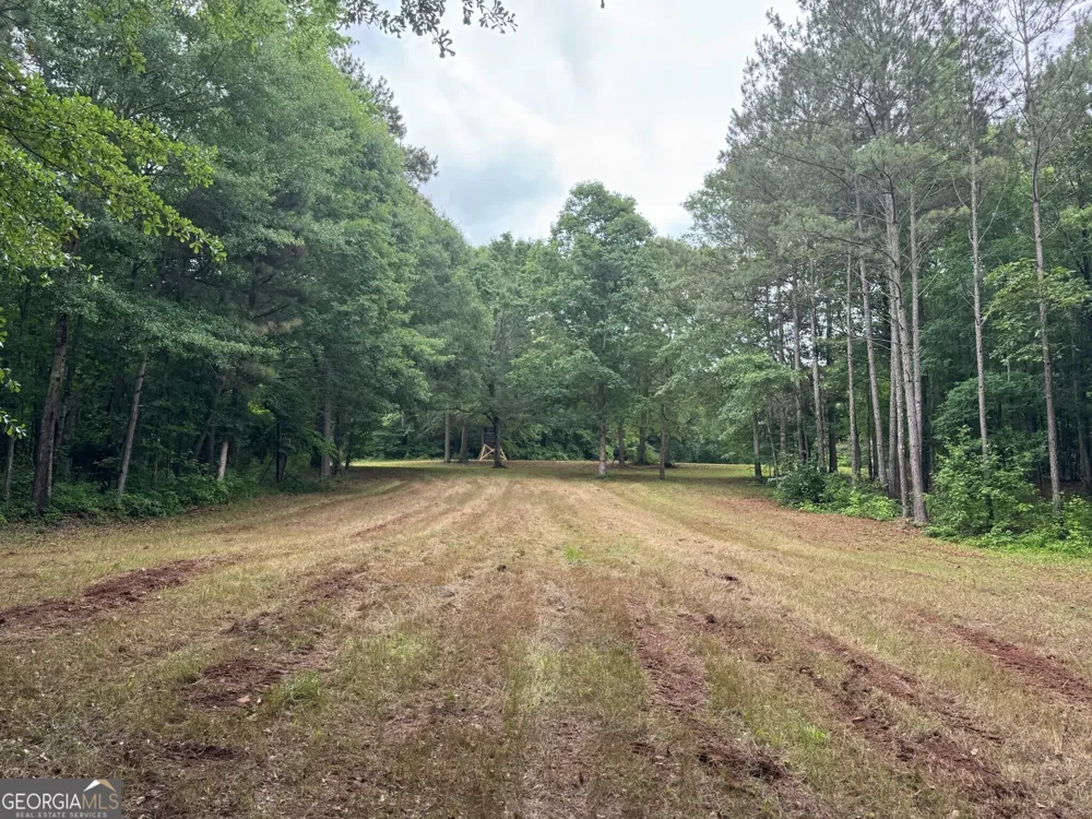 646 Lakeside RD Williamson, GA 30292